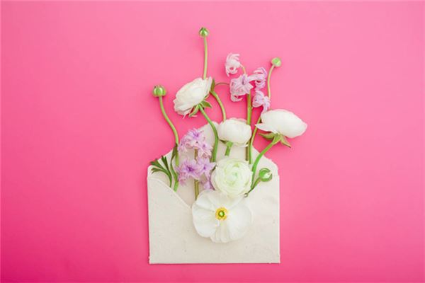 梦见信封:见封交友,封长高位