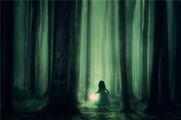 “占有五不验”是什么意思