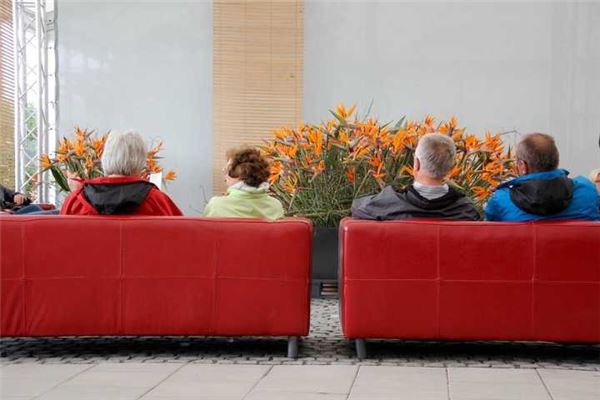 梦见邻居:病人梦之,大病痊愈