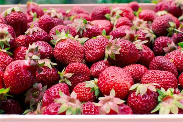 梦见草莓:运气好,好事要来到