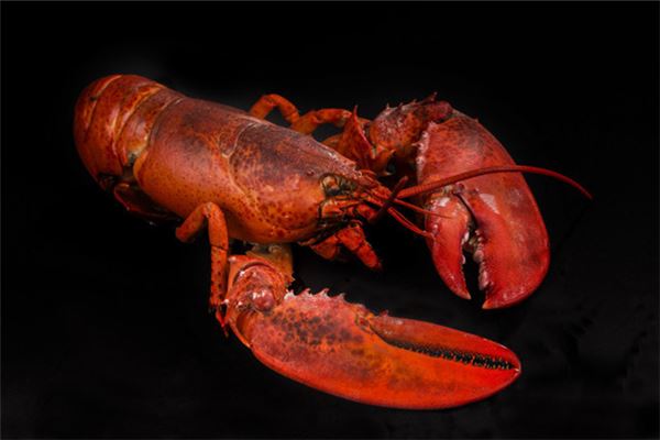 梦见龙虾:麻烦事缠身