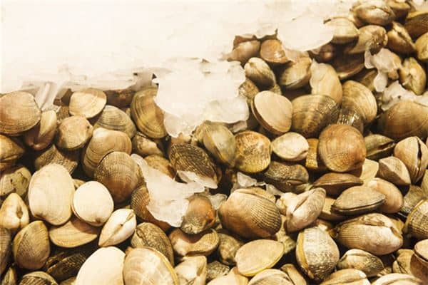 梦见蛤蜊:梦到吃蛤蜊,忌从政为官