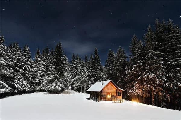 梦见松树:屋内生松,长寿安康