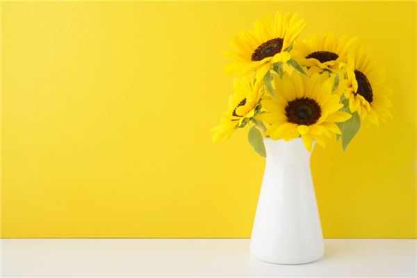 梦见花瓶:旧瓶好运,瓶碎不祥