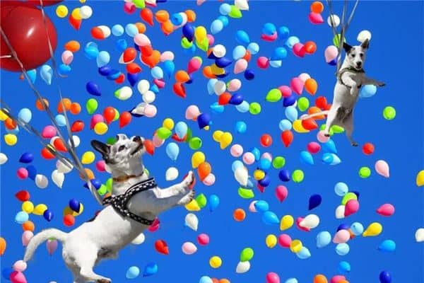 梦见五颜六色:生活多彩,心情愉快