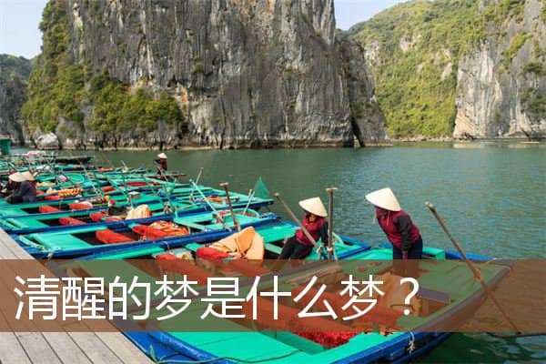 清醒的梦是什么梦？