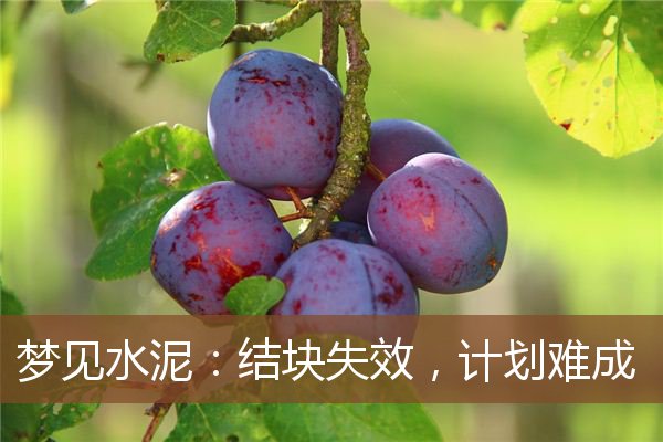 梦见水泥:结块失效,计划难成