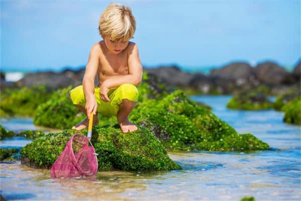 梦见手术,暗示身体有问题吗