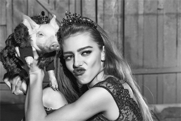 梦见猪咬我是什么意思