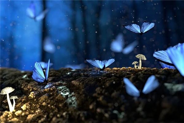 怎样才能做美梦为何我总不做梦