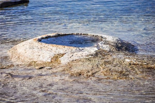 梦见粪坑,自己掉进粪坑里