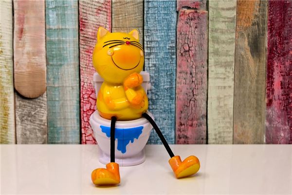 梦见在卫生间大便、小便