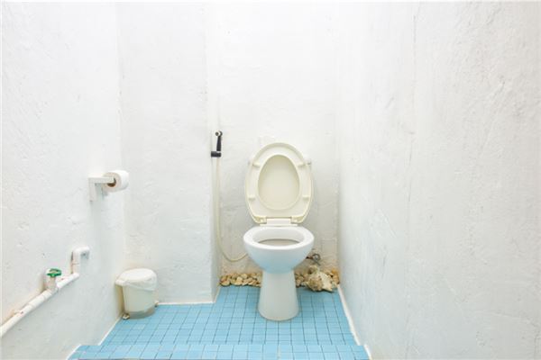 梦到自己被风吹到厕所,并且捡钱了