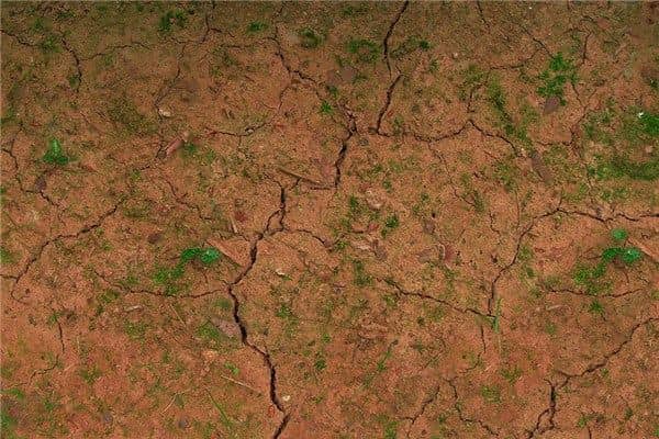 梦到了地壳运动是什么意思