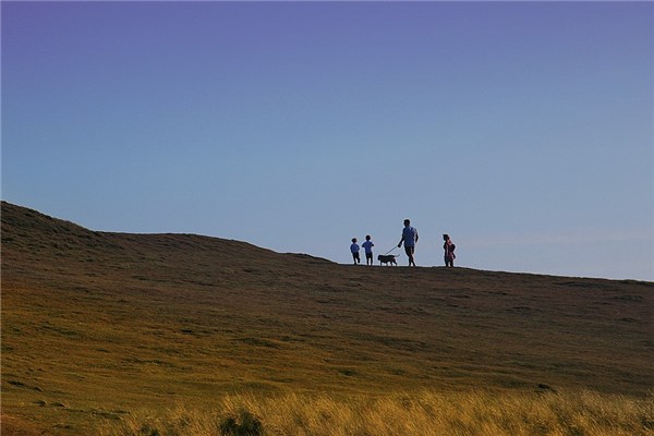 梦见郊游是什么意思