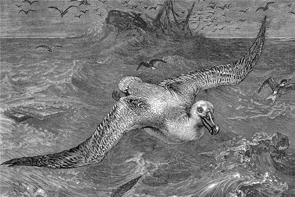 梦到鲲鹏是什么意思