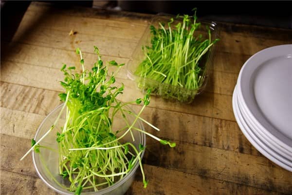 梦到了卖豆芽是什么意思