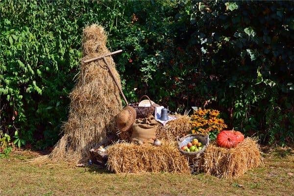 梦见大丰收是什么意思