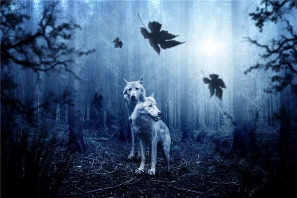 梦见豺狼虎豹是什么意思