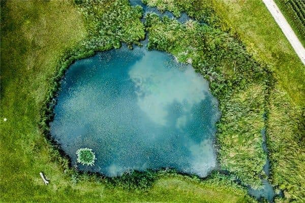 梦到了池塘干了是什么意思