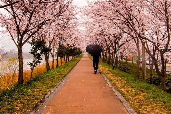 梦见走路摔跤是什么意思