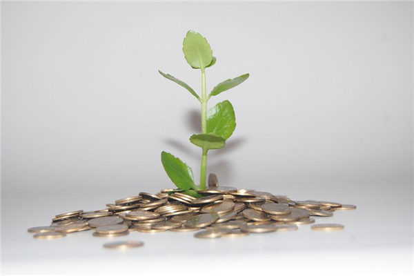 梦到家里没钱是什么意思