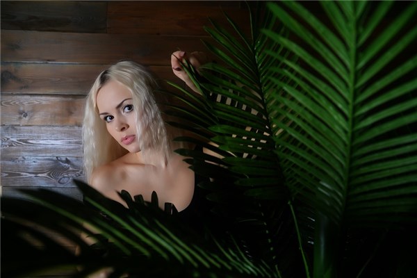 梦到自己头发白了好多是什么意思