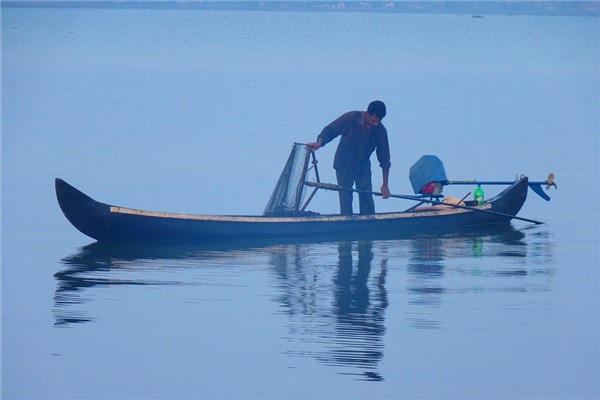 梦到了下河捉鱼是什么意思