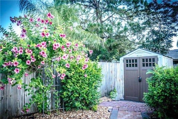 梦到院子有水会是什么意思