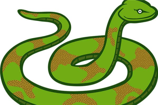 梦到蛇没头是什么意思