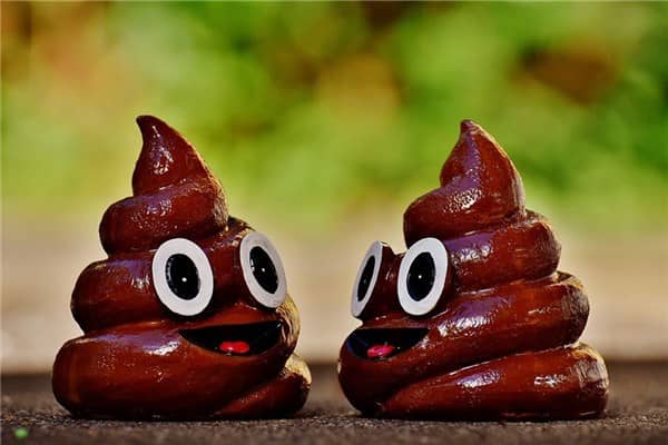 梦到了大便是什么意思