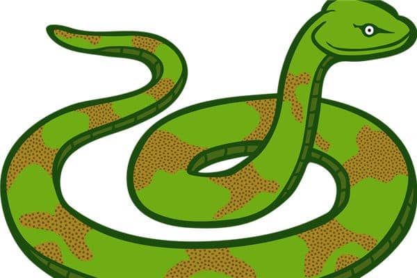 梦到了蛇断头是什么意思