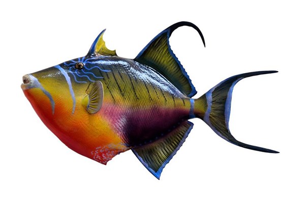 梦见鱼人是什么意思