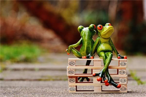 梦到亲人反目是什么意思