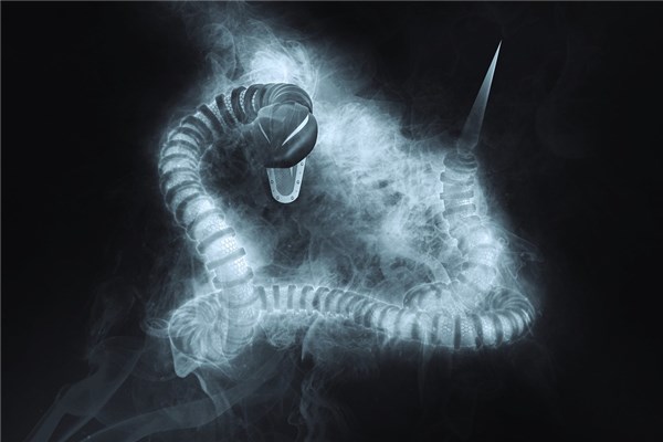 梦到了蛇钻被窝会是什么意思