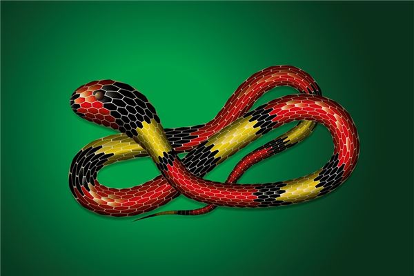 梦到了扔蛇是什么意思