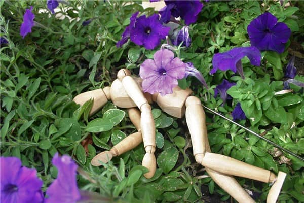 梦到死人是什么意思