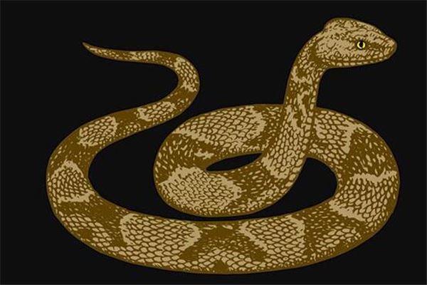 梦到了蛇吃狗是什么意思