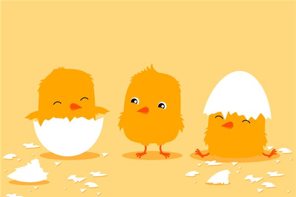 梦见鸡蛋变小鸡