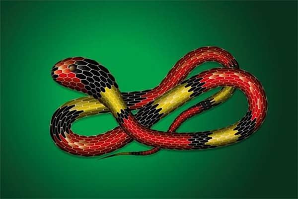 梦到了自己生蛇是什么意思