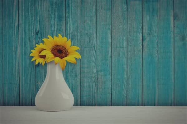 梦见瓷瓶是什么意思