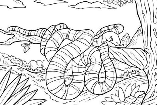 梦到了白色蛇是什么意思