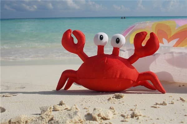 梦见红螃蟹是什么意思