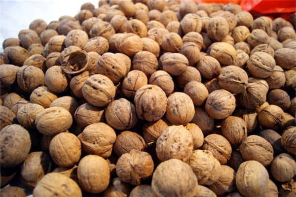 梦见在山上捡核桃