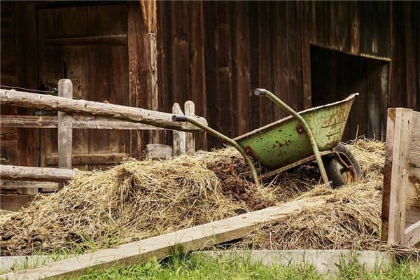 梦到粪车是什么意思