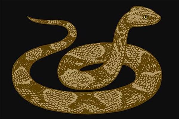 梦到追蛇是什么意思