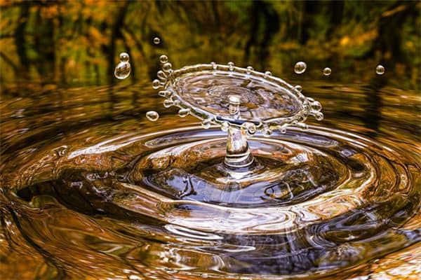 梦见屋里都是水