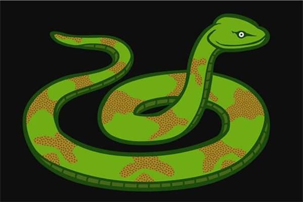 梦见喂蛇是什么意思