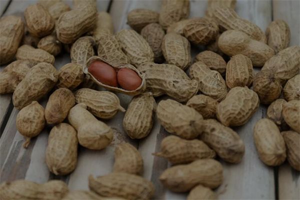 梦到了花生瓜子是什么意思