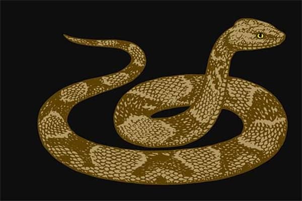 梦到了蛇缠着我是什么意思